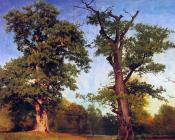 阿尔伯特 比尔施塔特 : Pioneers of the Woods